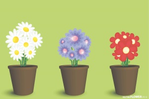 Mit Produkten allein lässt sich „kein Blumentopf gewinnen“ Mit Produkten allein lässt sich „kein Blumentopf gewinnen“
