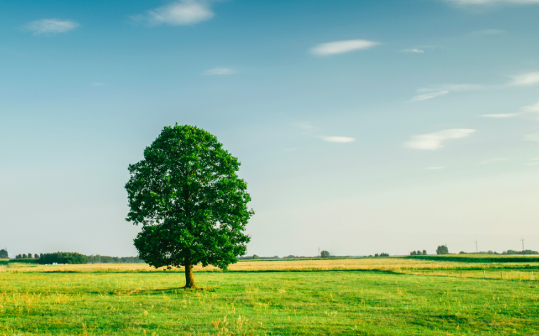 Energies renouvelables numerique citoyenneté le mix gagnant