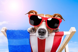 „So schmeckt der Sommer“: Salesforce Summer ‘14 Release „So schmeckt der Sommer“: Salesforce Summer ‘14 Release