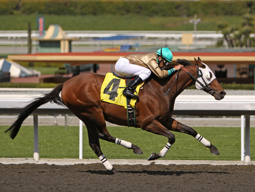 Winner Take All: 4 Tips for Navigating the New Sales Landscape Winner Take All: 4 Tips for Navigating the New Sales Landscape
