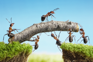 Touchpoint Manager oder "Hallo, ich bin der Neue!" Touchpoint Manager oder "Hallo, ich bin der Neue!"