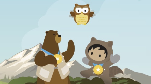 Three Fast Steps to a Beautiful, CRM-Connected Community