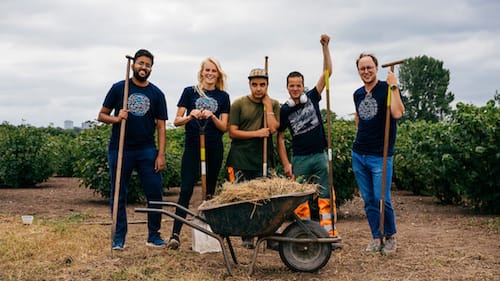 How to Create an Effective Corporate Volunteering Program
