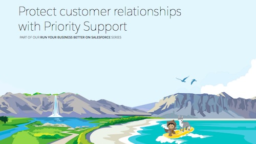 Protect Customer Relationships with Priority Support: A New Salesforce E-book