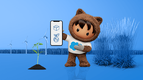 Sustainability in Commerce: How To Grow While Staying Green