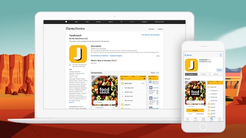 5 Steps to Optimize Your Salesforce Org