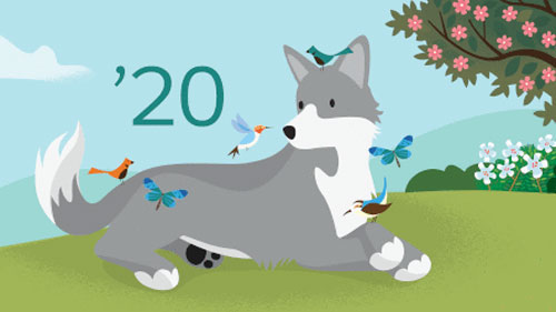 Spring ‘20 Is Live: See What’s New