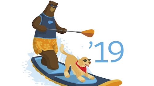 Make a Splash With the Summer '19 Release