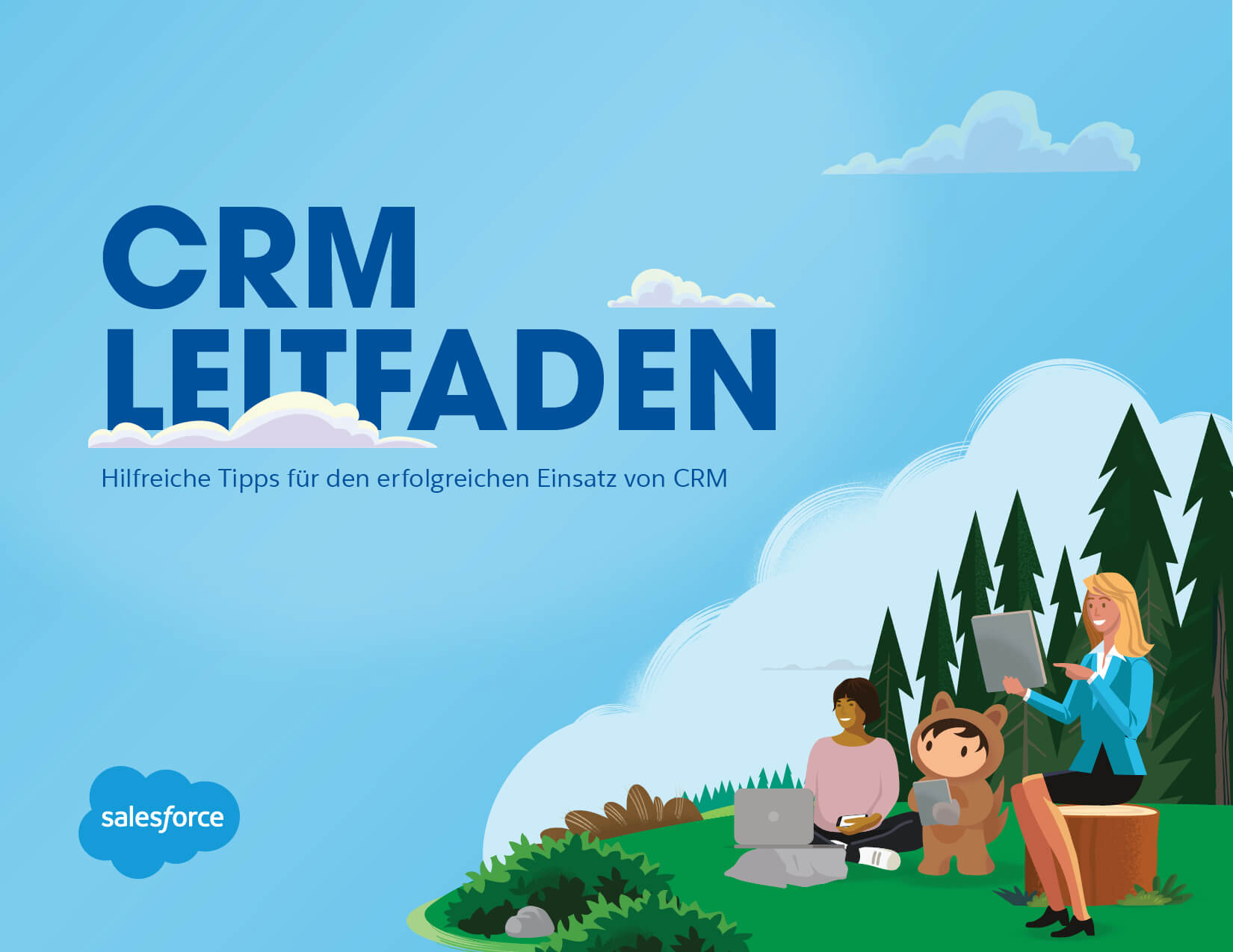Ihr komplettes CRM-Handbuch