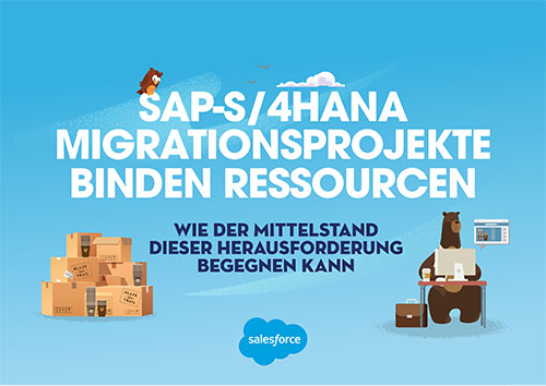 Aufwendige SAP-S/4HANA-Migrationsprojekte