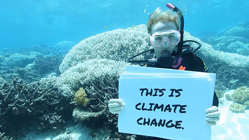 greenpeace-banner
