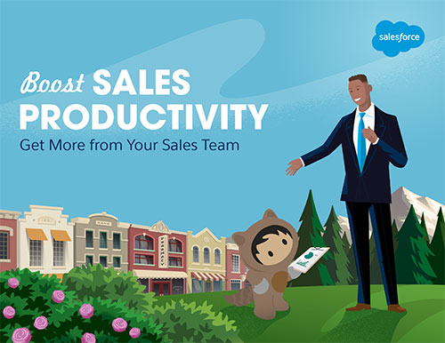 E-book Sales Productivity: haal meer uit je salesteam