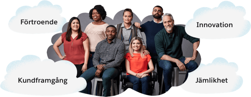 Trust, Customer Success, Innovation, Equality