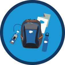 Dreamforce badge