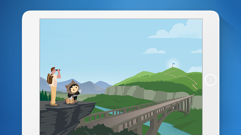 risorse salesforce per i servizi professionali