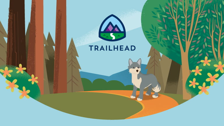 Learn about the Spring ’21 Release features on our free learning platform.