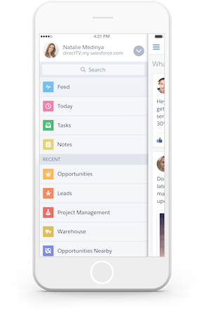 Saleforce1 Mobile app