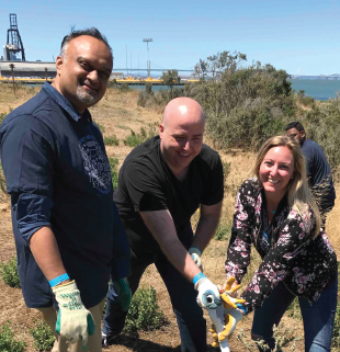 Golden Gate Audubon Instagram post