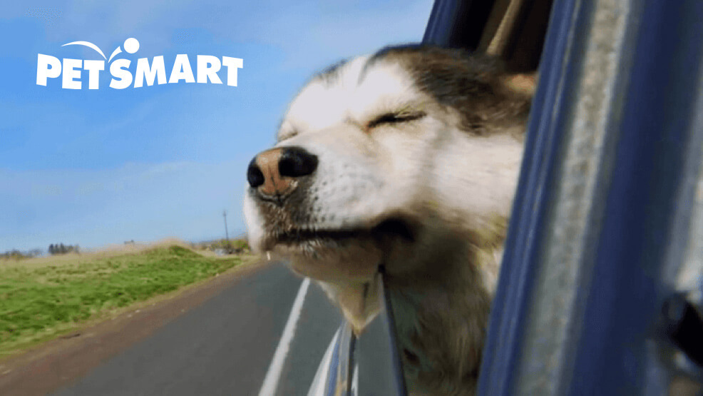 Petsmart customer story