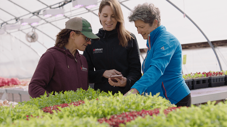 Johnny's Selected Seeds - watch the story