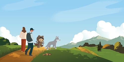 ต้องการใช้ Salesforce ให้เต็มประสิทธิภาพใช่ไหม