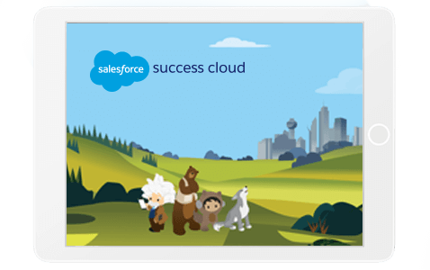 Salesforce Success Cloud