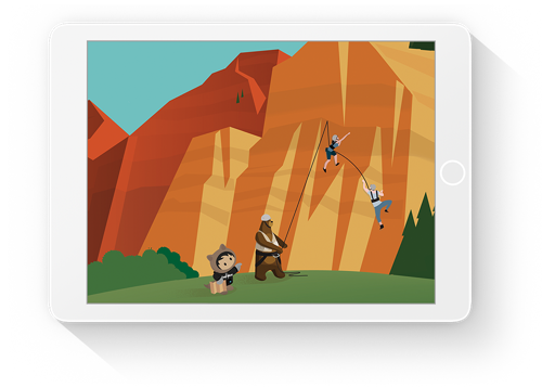 Salesforce Architect