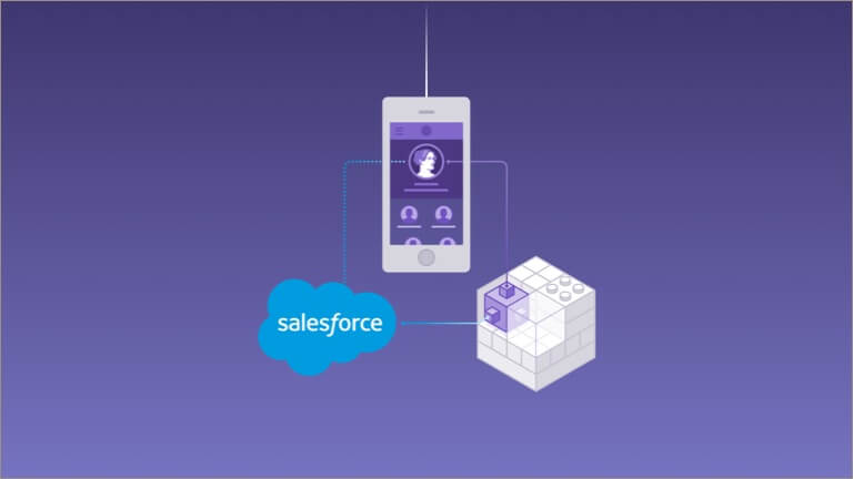图解显示了应用程序中组合的 Heroku 开发元素和 Salesforce 数据。