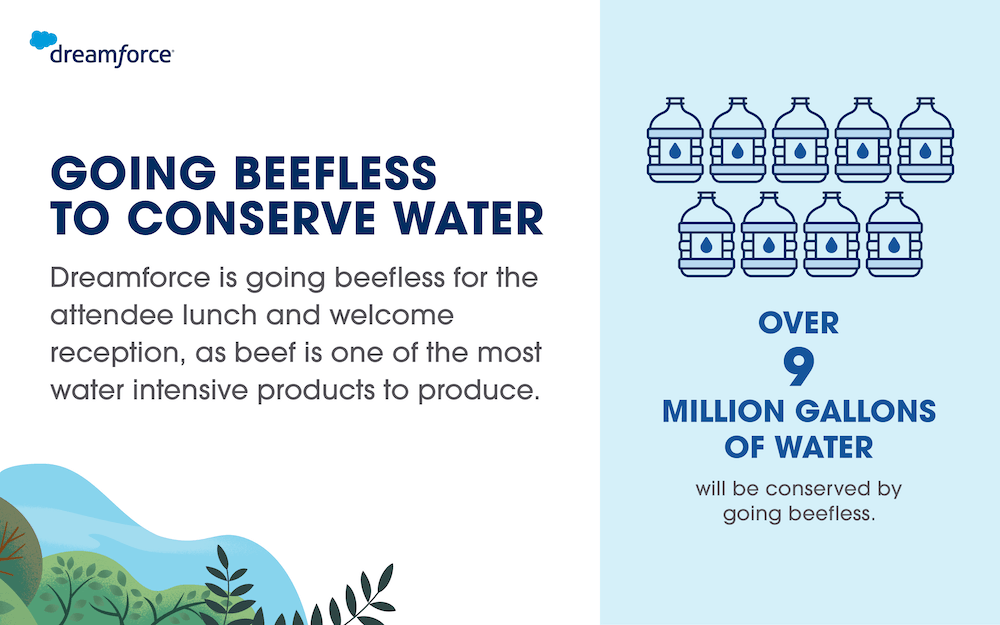 Going beefless to conserve water.