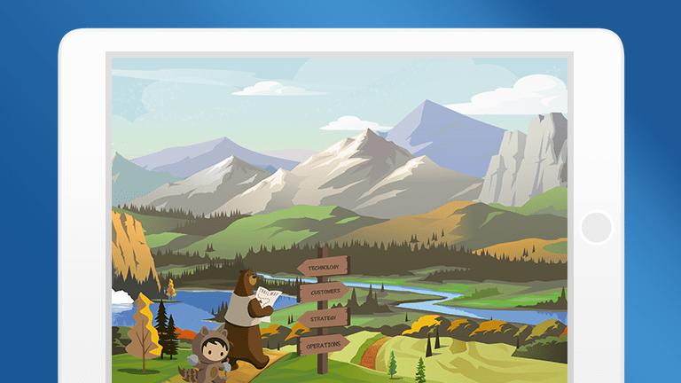 salesforce customer secrets