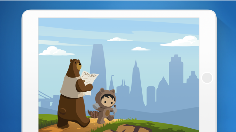 salesforce customer secrets