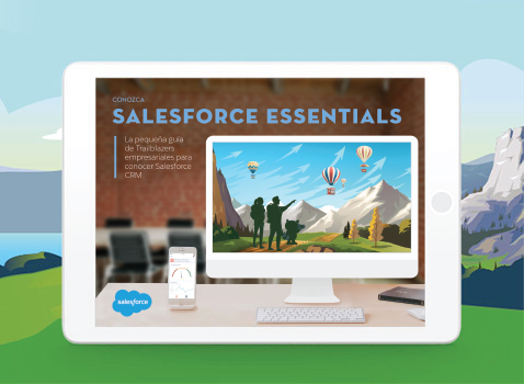 Salesforce Wave Analytics