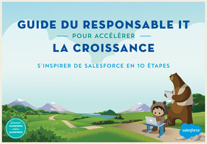 salesforce-guide-du-responsable-IT