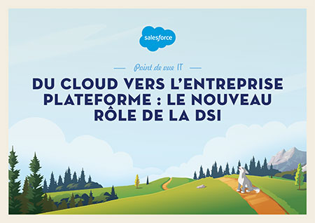 salesforce-point-de-vue