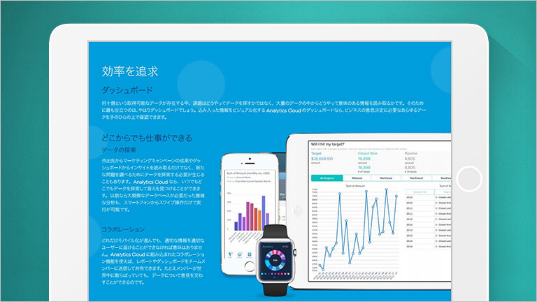 bi resources by analytics cloud