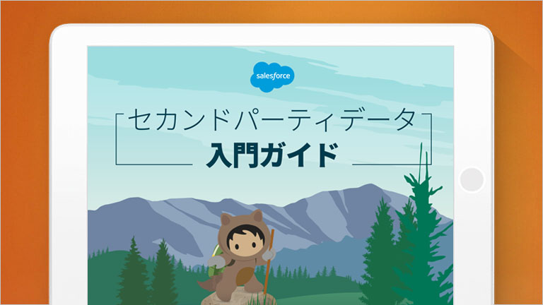 Salesforce for Marketers: Welcome to the Age of the Customer