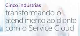 customer service data for service cloud