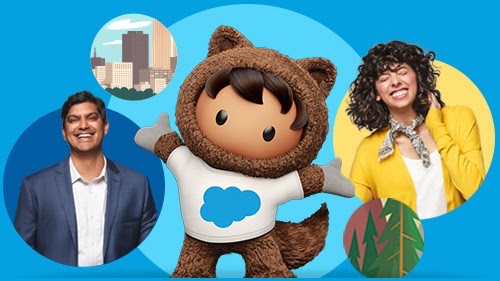 Sounds great — how does Salesforce work?