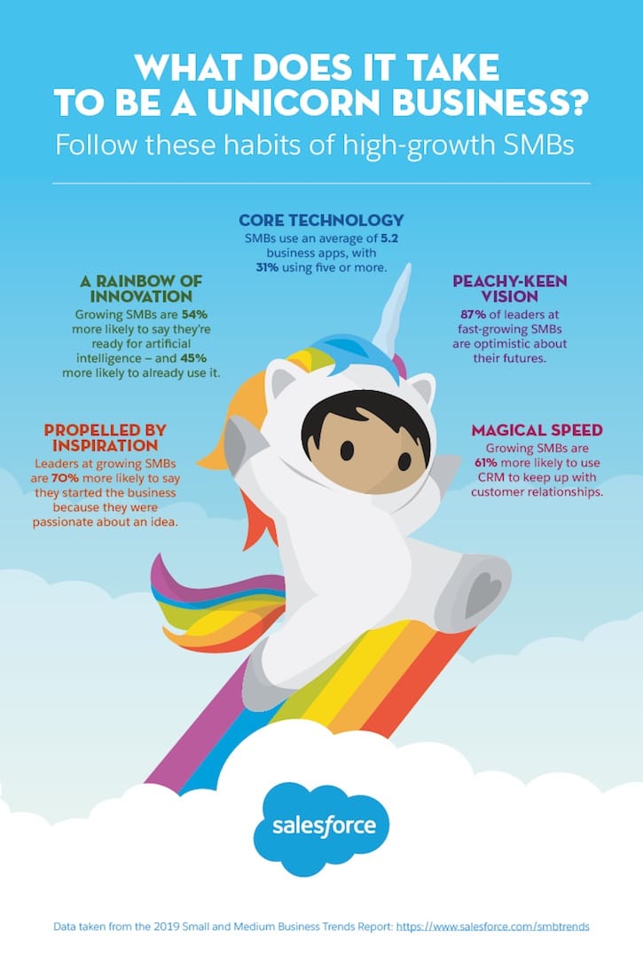 What does it take to be a unicorn business infographic