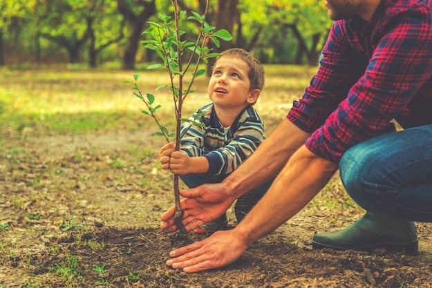 Boy and man planting tree