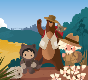 Salesforce 2019 Sydney Salesforce