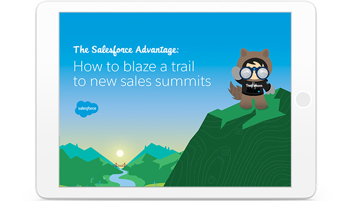 salesforce pricing for small business