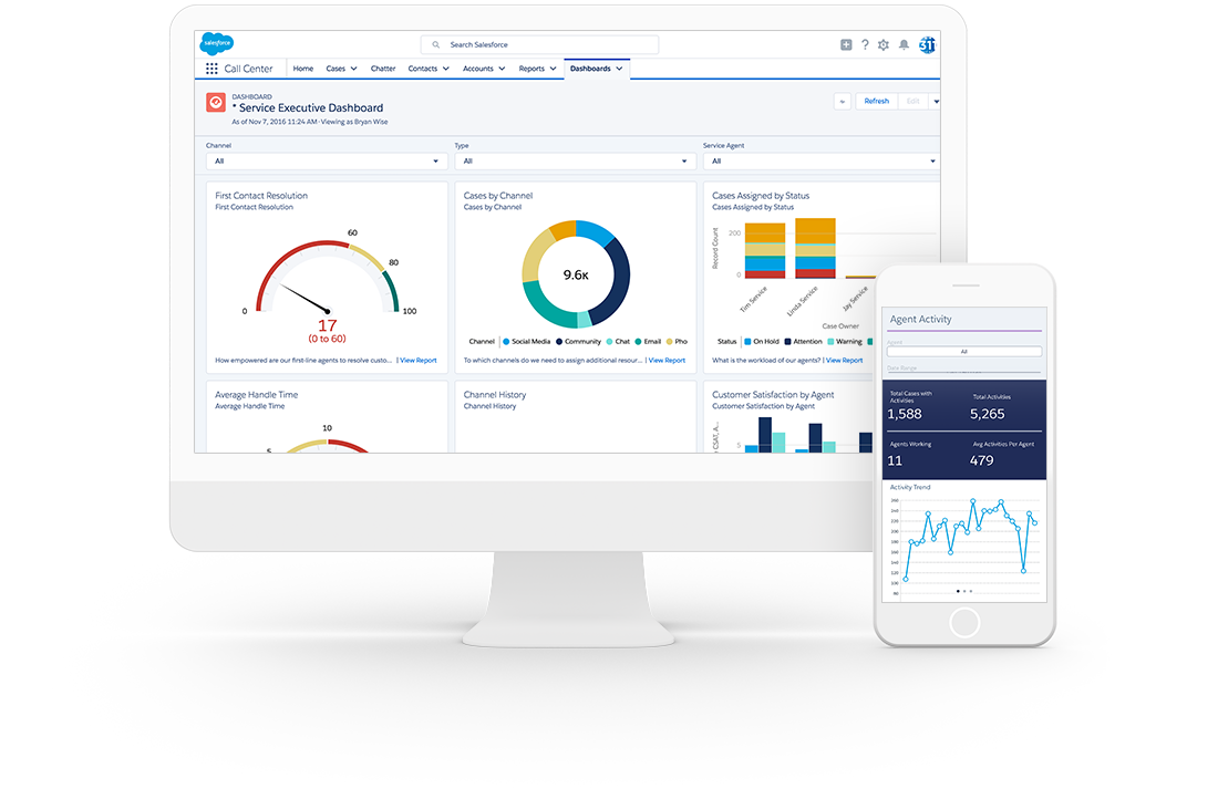 Case Management System For State Gov't Caseworkers By Salesforce ...