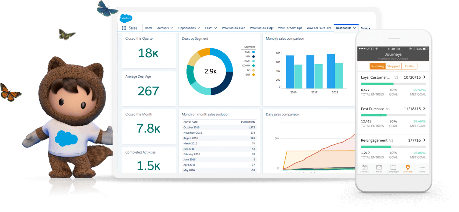 Salesforce क्या है?[What is Salesforce? in Hindi]