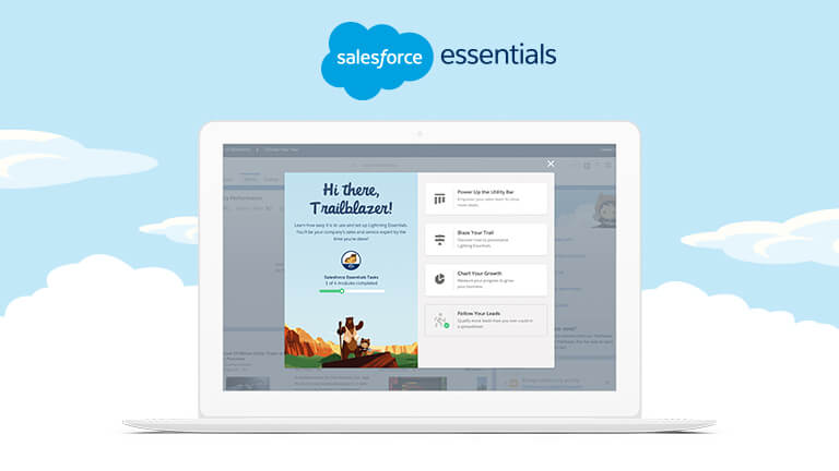What Is Ess Employee Self Service Salesforce Com